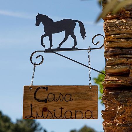 Гостевой дом Cavalo De Xisto - Turismo Rural, Lda. Almaceda Экстерьер фото
