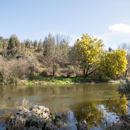 Гостевой дом Cavalo De Xisto - Turismo Rural, Lda. Almaceda Экстерьер фото